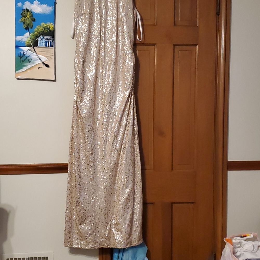 Sequin Gown David's Bridal